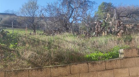 Single-family semi-detached for sale in Calle Tejo, 18, Peal de Becerro, Jaén - image 3 Photo 3 of Single-family semi-detached for sale in Calle Tejo, 18, Peal de Becerro, Jaén