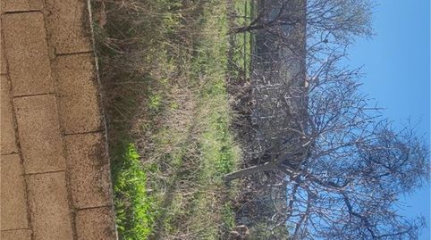 Single-family semi-detached for sale in Calle Tejo, 18, Peal de Becerro, Jaén - image 2 Photo 2 of Single-family semi-detached for sale in Calle Tejo, 18, Peal de Becerro, Jaén