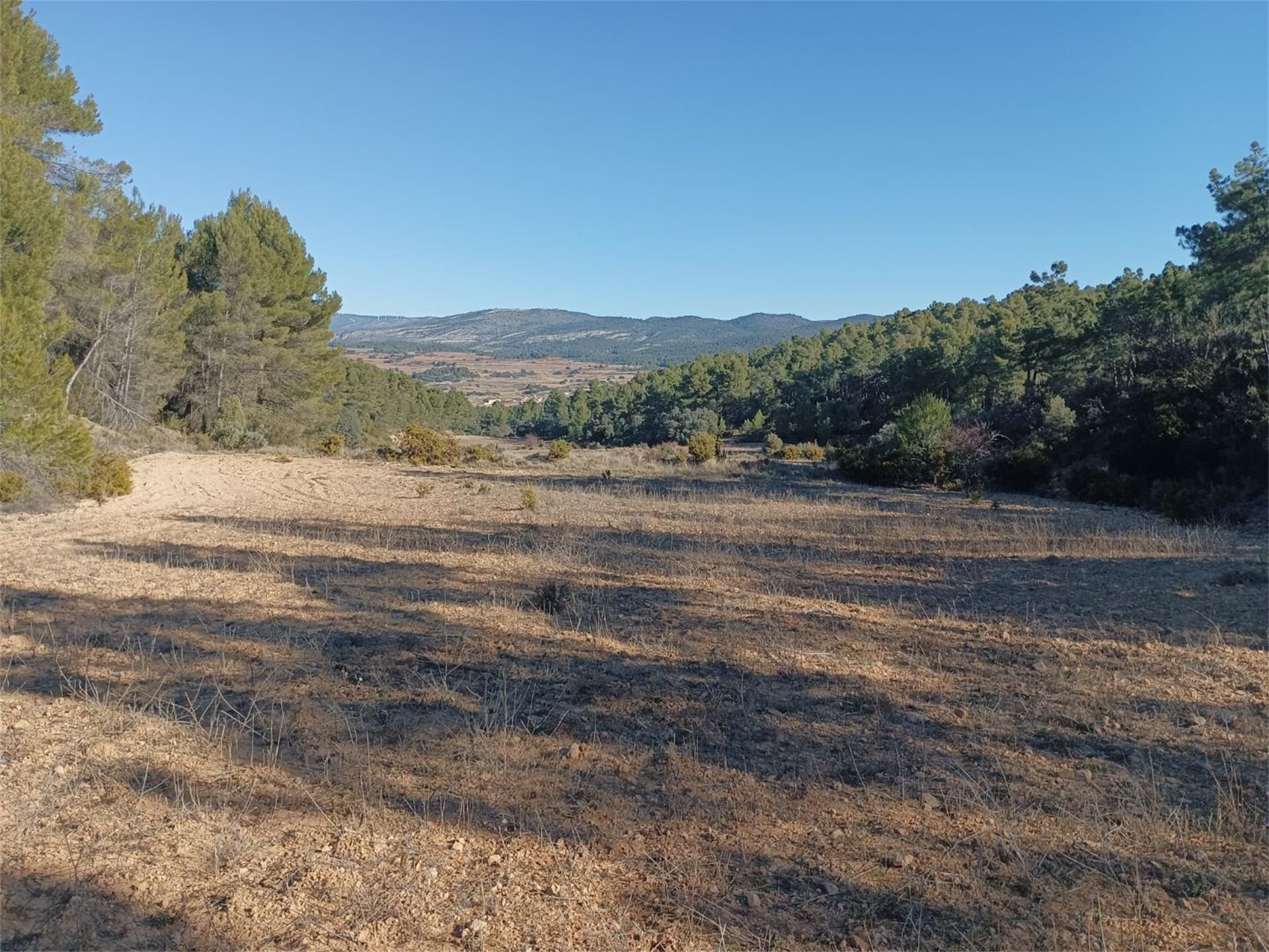 Non-constructible Land for sale in Chelva