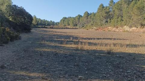 Photo 4 of Non-constructible Land for sale in Avinguda Ahillas, 1, Chelva, Valencia