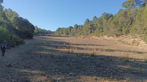 Photo 5 of Non-constructible Land for sale in Avinguda Ahillas, 1, Chelva, Valencia