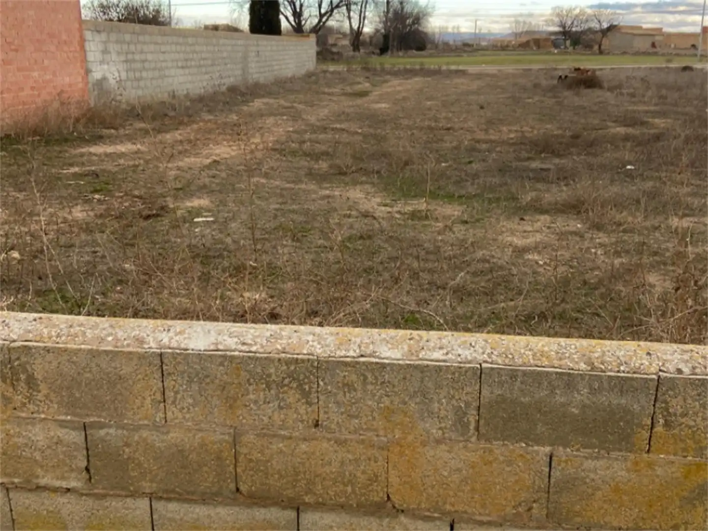 Land for sale in Fuentes Claras