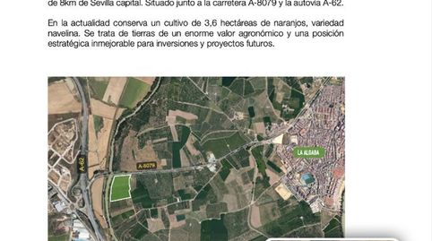 Foto 2 de Terreno en venta en La Algaba, Sevilla