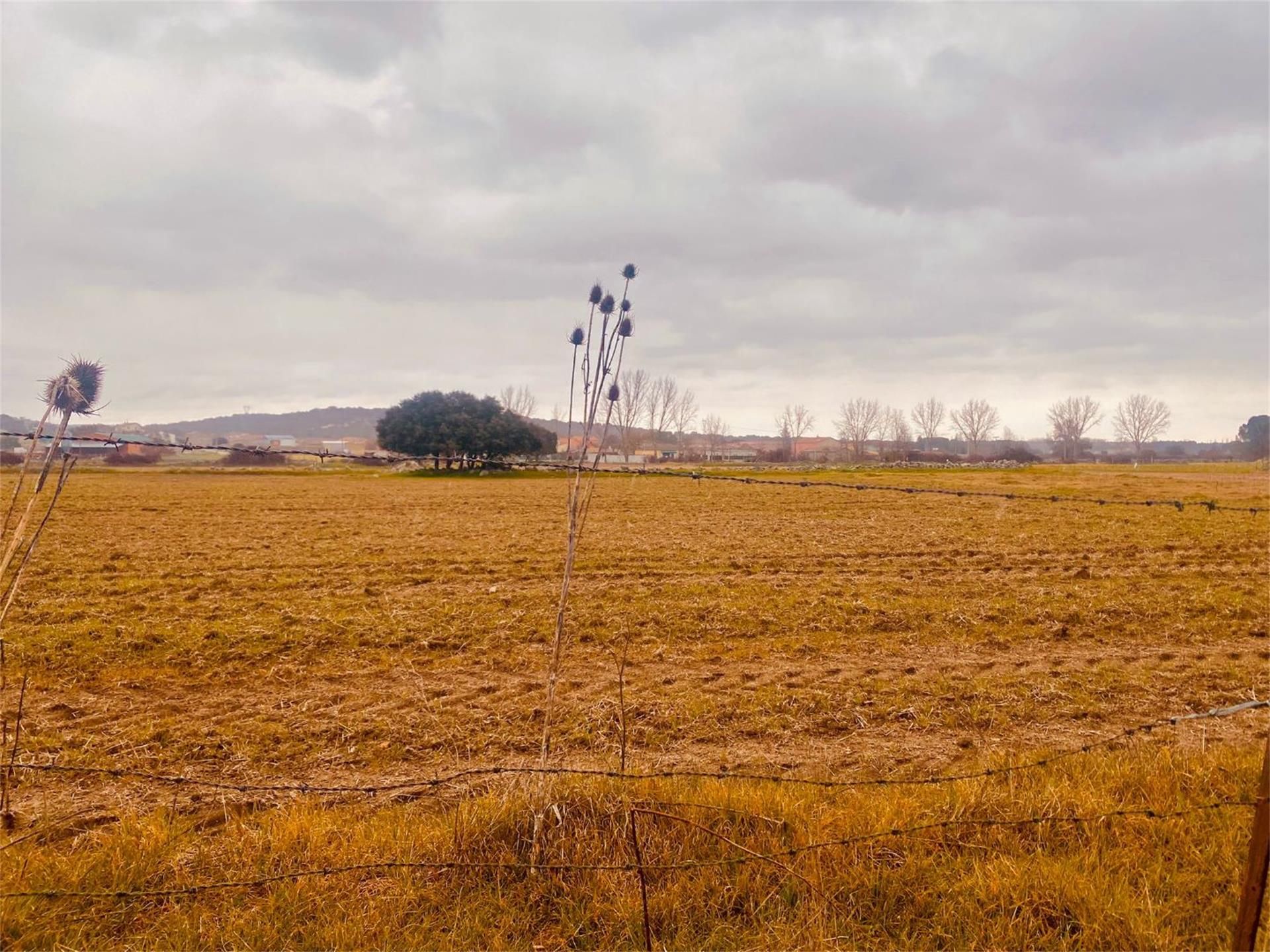 Land for sale in El Arco 