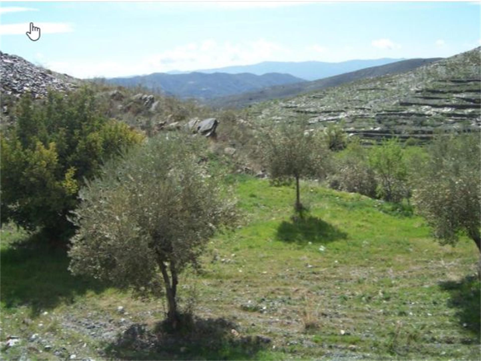 Land for sale in Senés