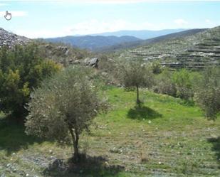 Land for sale in Senés