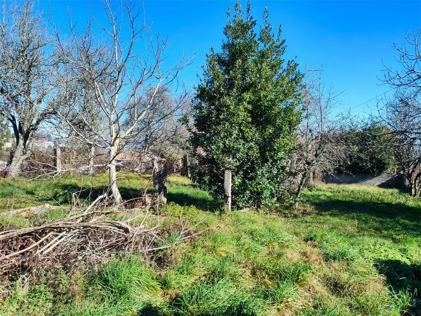 Local en venta en Estrada San Cosme, Valadares - Beade Local en venta en Vigo con Calefacción y Amueblado