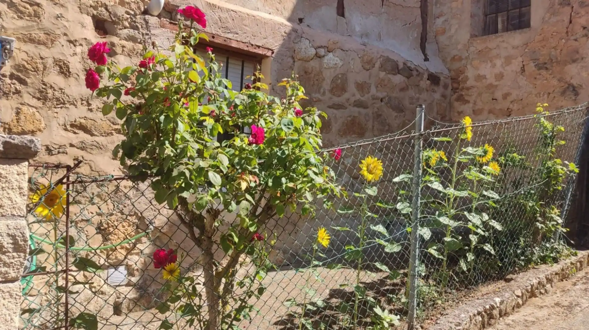 Garden of Detached homes for sale in Miraveche  with Heating, Parquet flooring and Terrace