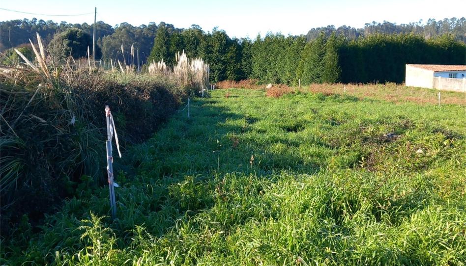 Foto 1 de Finca rústica en venda a Rúa Garduña, 4, Maianca, A Coruña