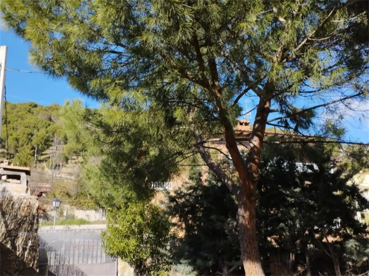 Casa o chalet en venta en Calle de Manuel de Falla, 5, El Hoyo de Pinares Vista exterior de Casa o chalet en venta en El Hoyo de Pinares con Terraza, Piscina y Balcón