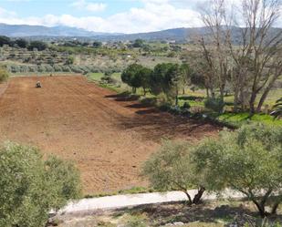 Land for sale in Ronda