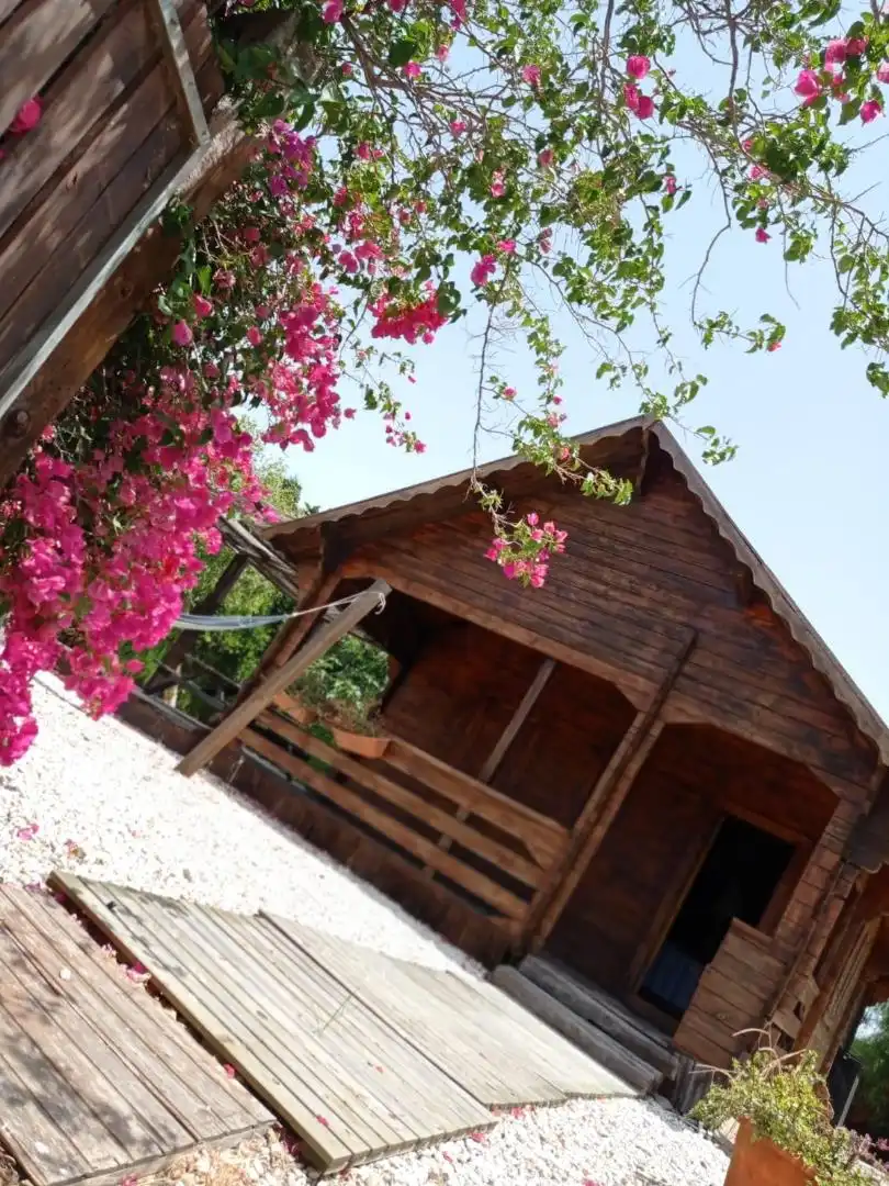 Casa o chalet en venta en Urbanización El Palmar, El Palmar Casa o chalet en venta en Vejer de la Frontera con Terraza y Amueblado