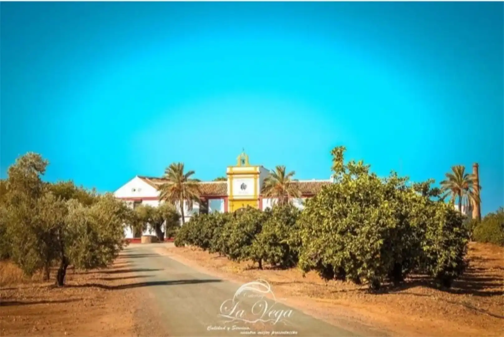 Vista exterior de Casa o chalet en venta en Carmona con Aire acondicionado, Calefacción y Jardín privado