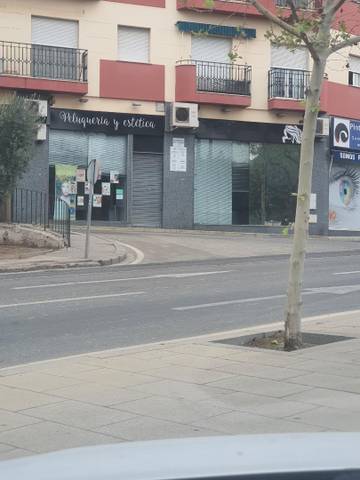 Local comercial en Alquiler en Calle Nicolás Alpériz, 6 en Centro