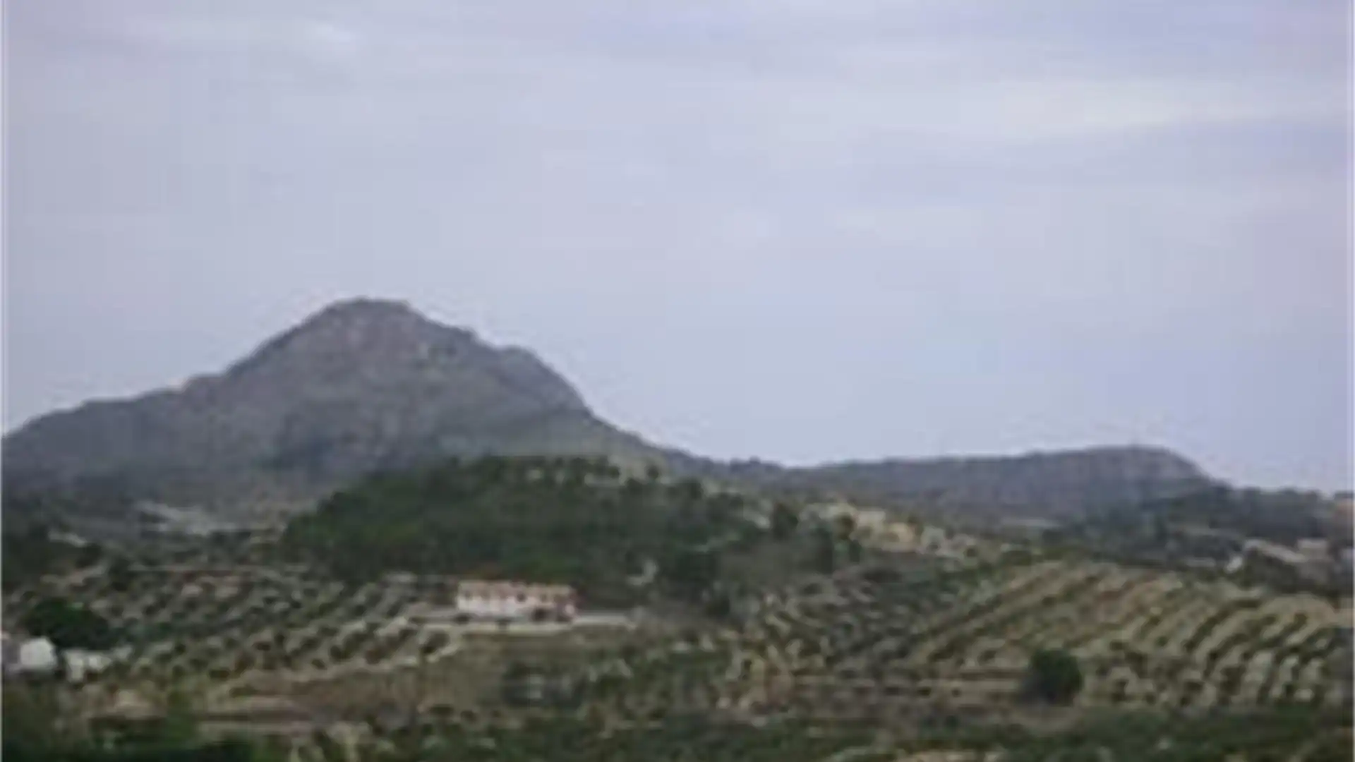 Terreno en venta en Férez