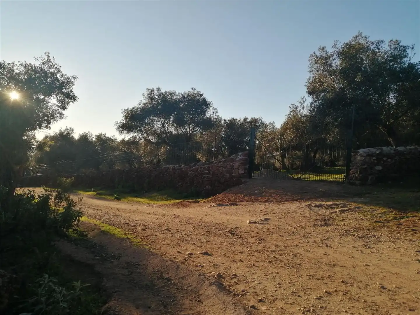 Nicht bebaubares Gelände zum Verkauf in Cañaveral de León