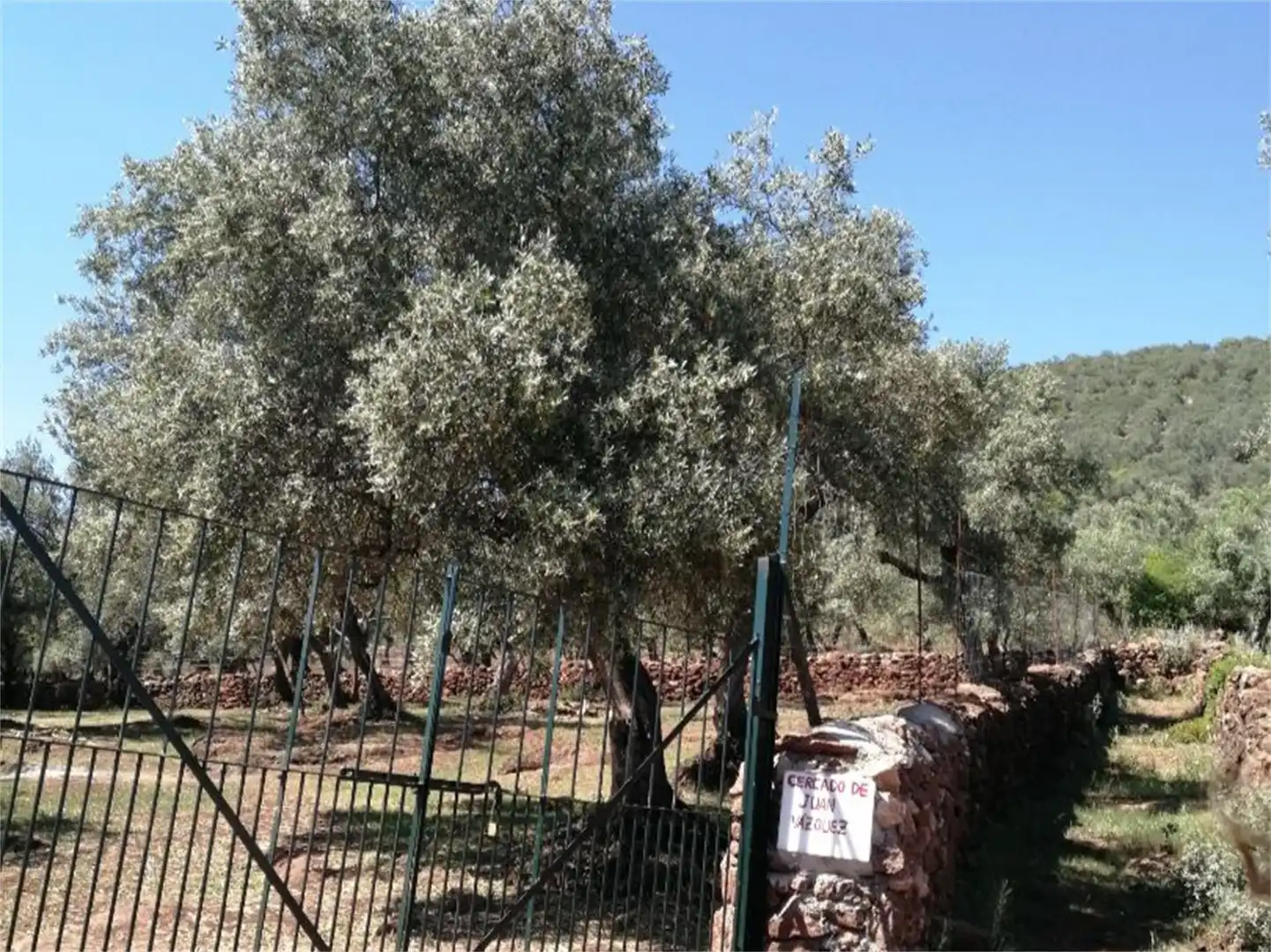 Garten von Nicht bebaubares Gelände zum Verkauf in Cañaveral de León
