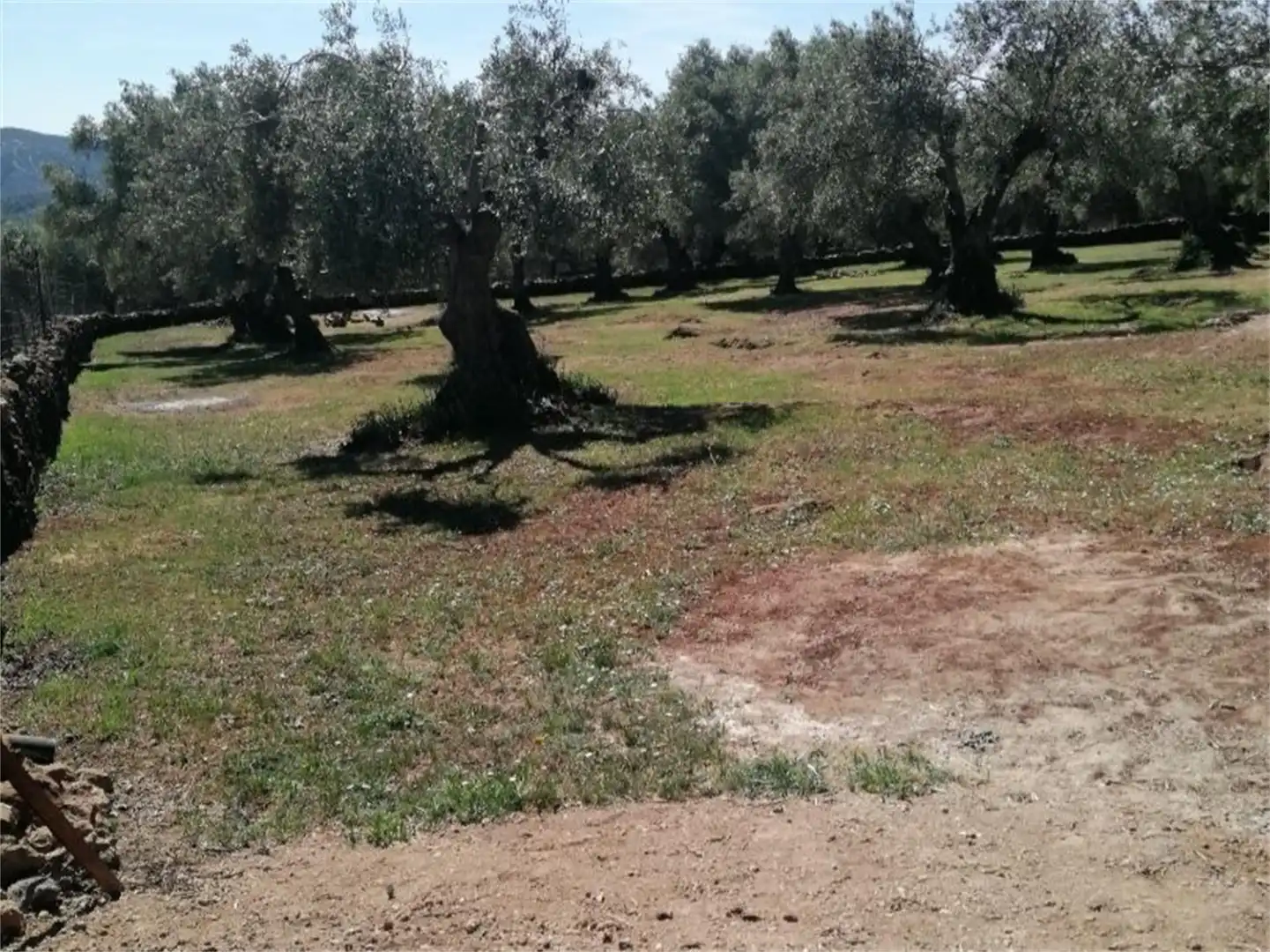 Nicht bebaubares Gelände zum Verkauf in Cañaveral de León