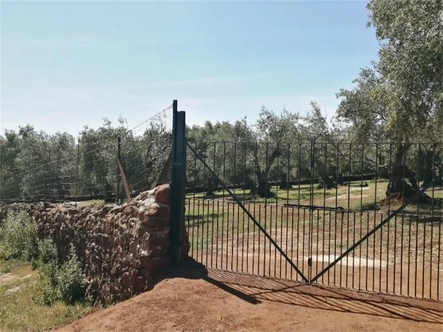 Nicht bebaubares Gelände zum Verkauf in Cañaveral de León