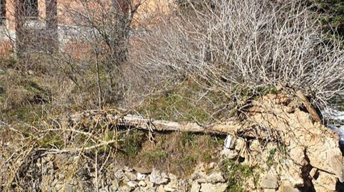 Photo 2 of Land for sale in Calle Central, Santibáñez de la Peña, Palencia