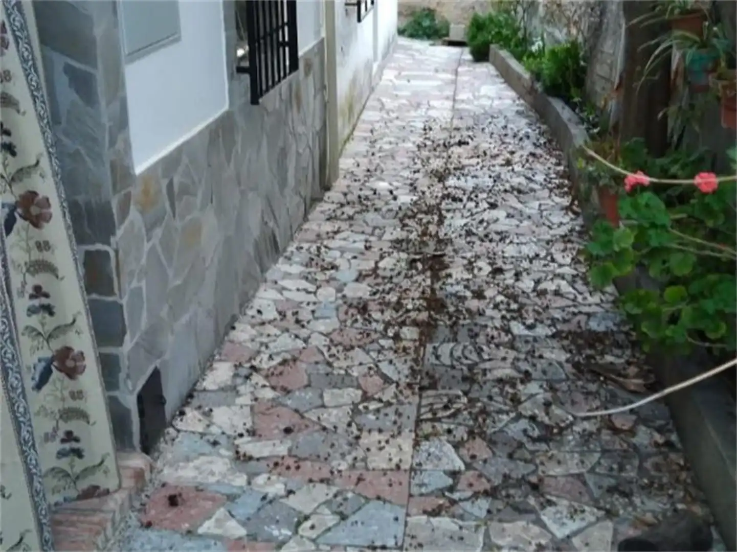 Detached homes for sale in Barrio Alto, Fargue