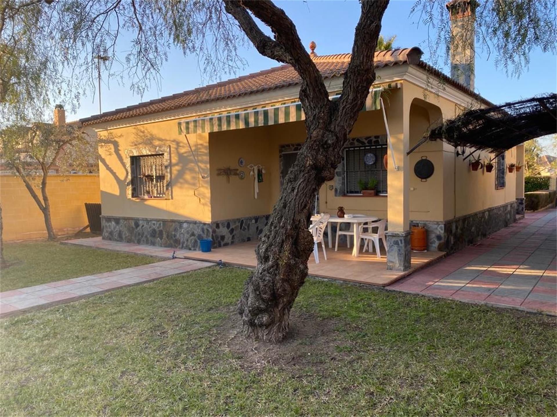 Vista exterior de Casa o xalet en venda en Morón de la Frontera amb Aire condicionat, Terrassa i Piscina