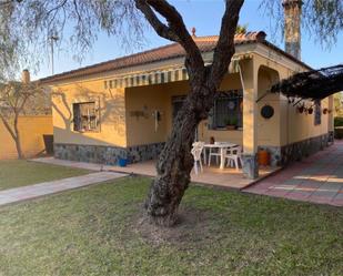 Vista exterior de Casa o xalet en venda en Morón de la Frontera amb Aire condicionat, Terrassa i Piscina