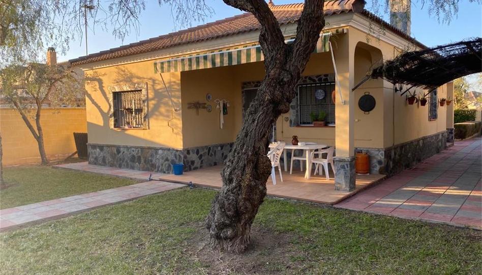Foto 1 de Casa o xalet en venda a Calle Chicuelo, 11, Morón de la Frontera, Sevilla