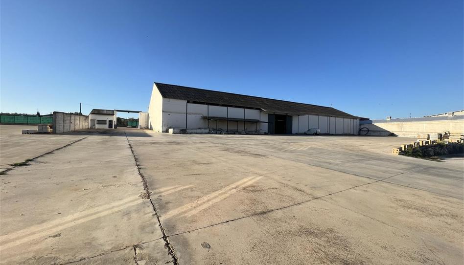 Photo 1 of Industrial buildings to rent in Ma-454, 41, Sierra de Yeguas, Málaga