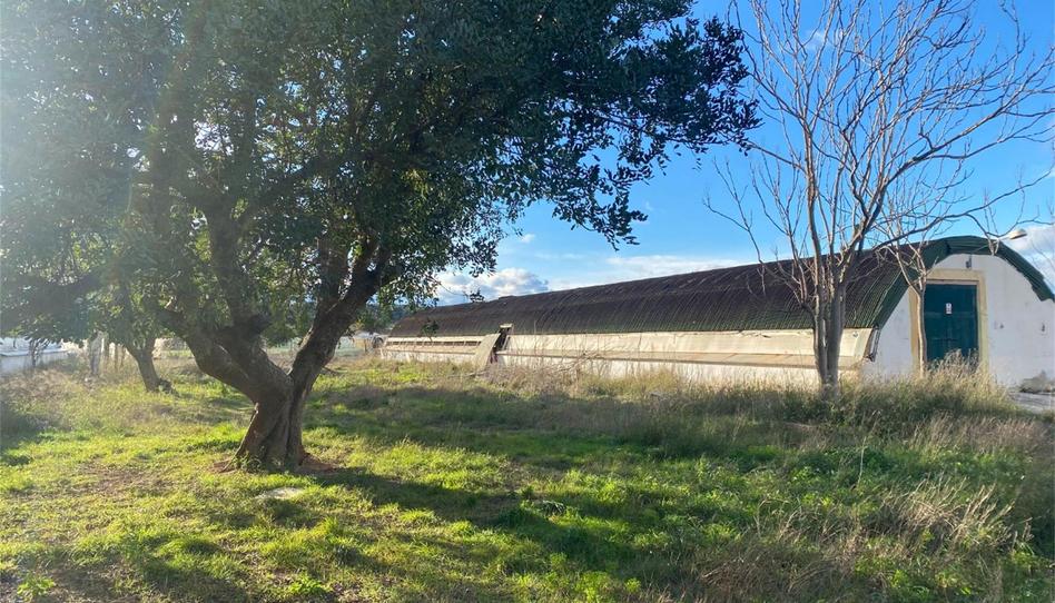 Finca rústica en venda a Santa Bárbara, Valencia - imatge 1 Foto 1 de Finca rústica en venda a Santa Bárbara, Valencia