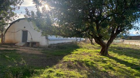 Finca rústica en venda a Santa Bárbara, Valencia - imatge 3 Foto 3 de Finca rústica en venda a Santa Bárbara, Valencia