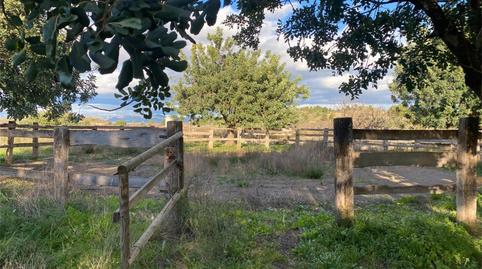 Finca rústica en venda a Santa Bárbara, Valencia - imatge 5 Foto 5 de Finca rústica en venda a Santa Bárbara, Valencia