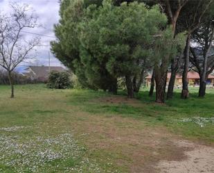 Land for sale in Moralzarzal