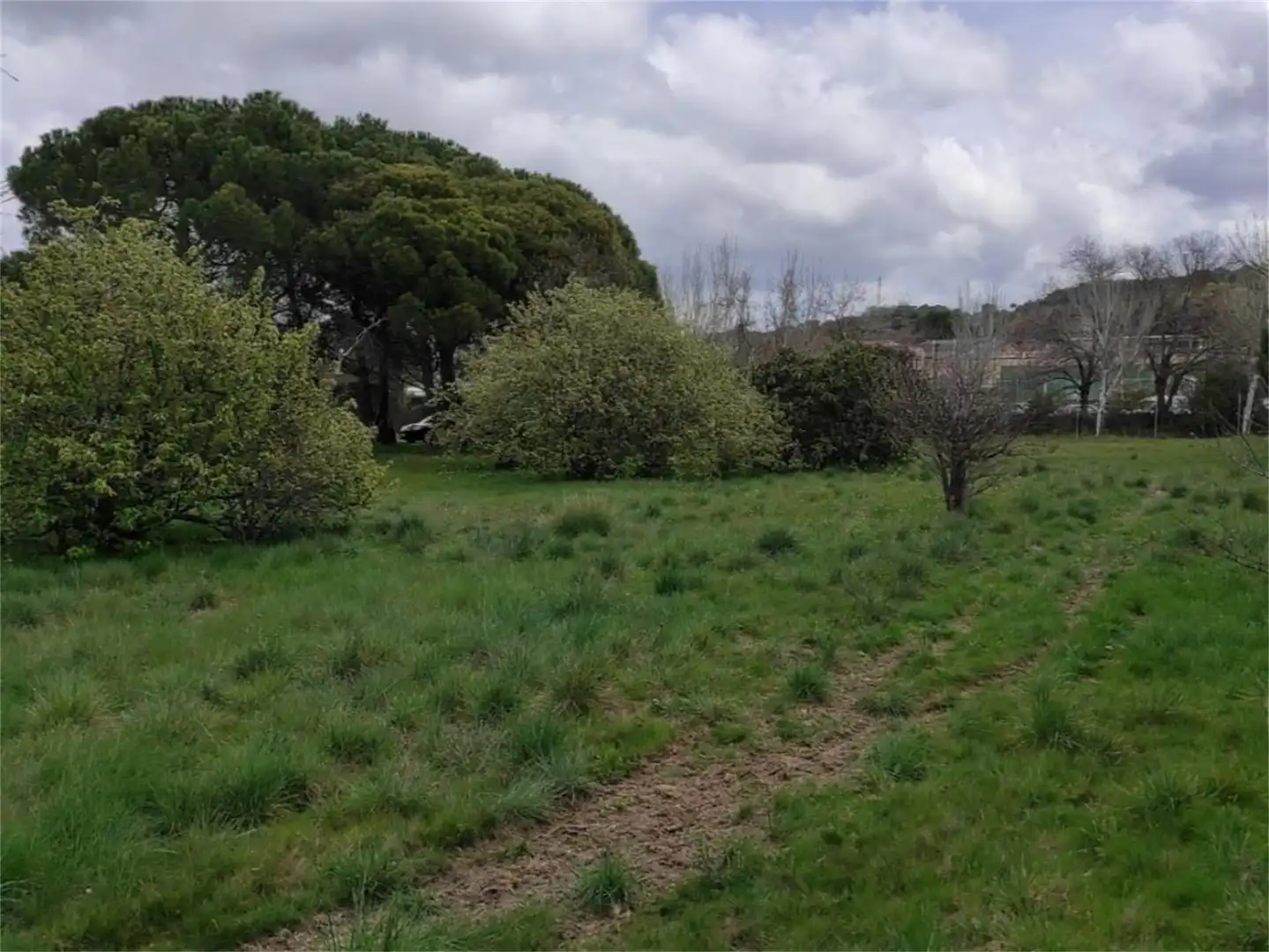 Terreno en venta en Calle Borrico Parra, 21, Polideportivo Colonia Terreno en venta en Moralzarzal