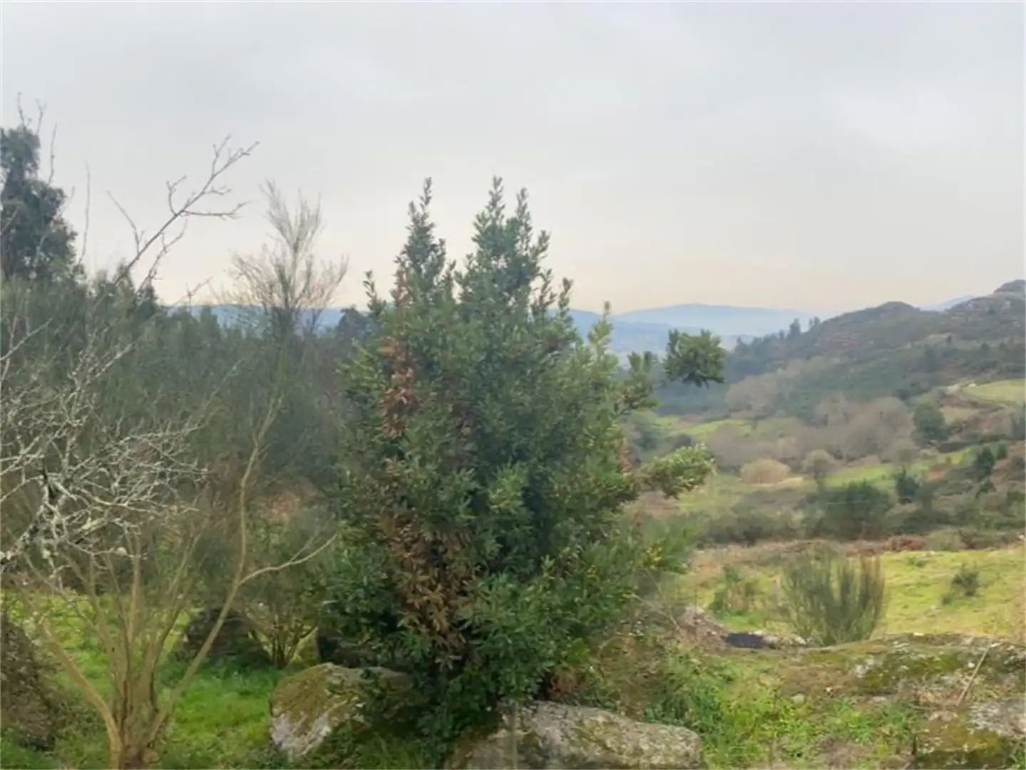 Finca rústica en venta en Parroquias Rurales Finca rústica en venta en Pontevedra Capital con Jardín privado y Balcón