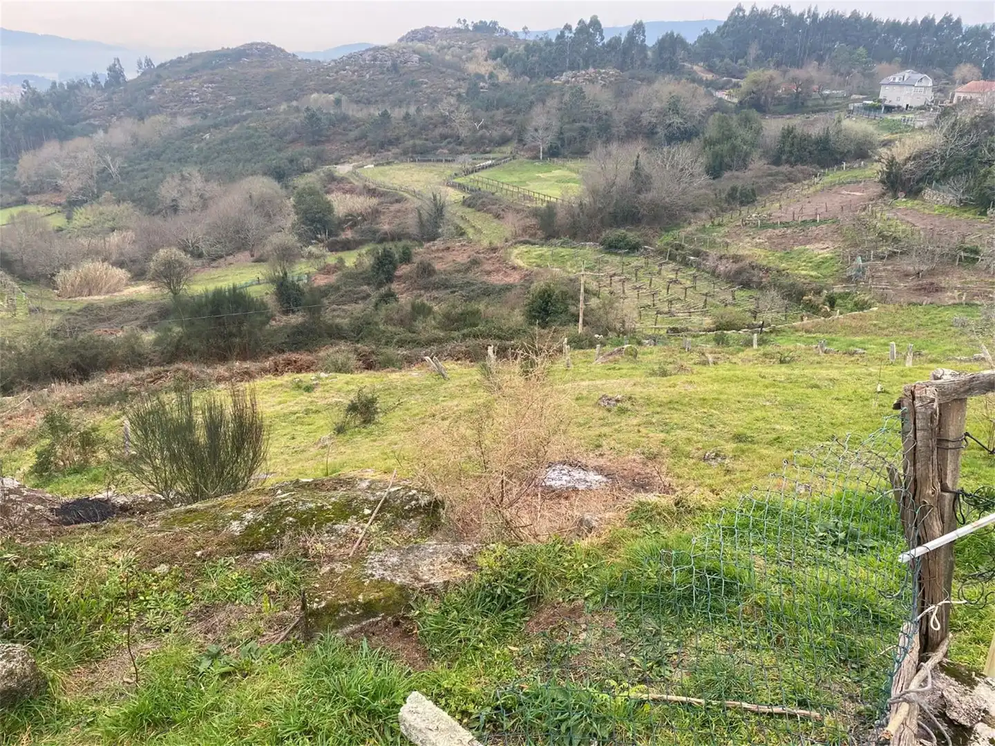 Finca rústica en venta en Parroquias Rurales Finca rústica en venta en Pontevedra Capital con Jardín privado y Balcón