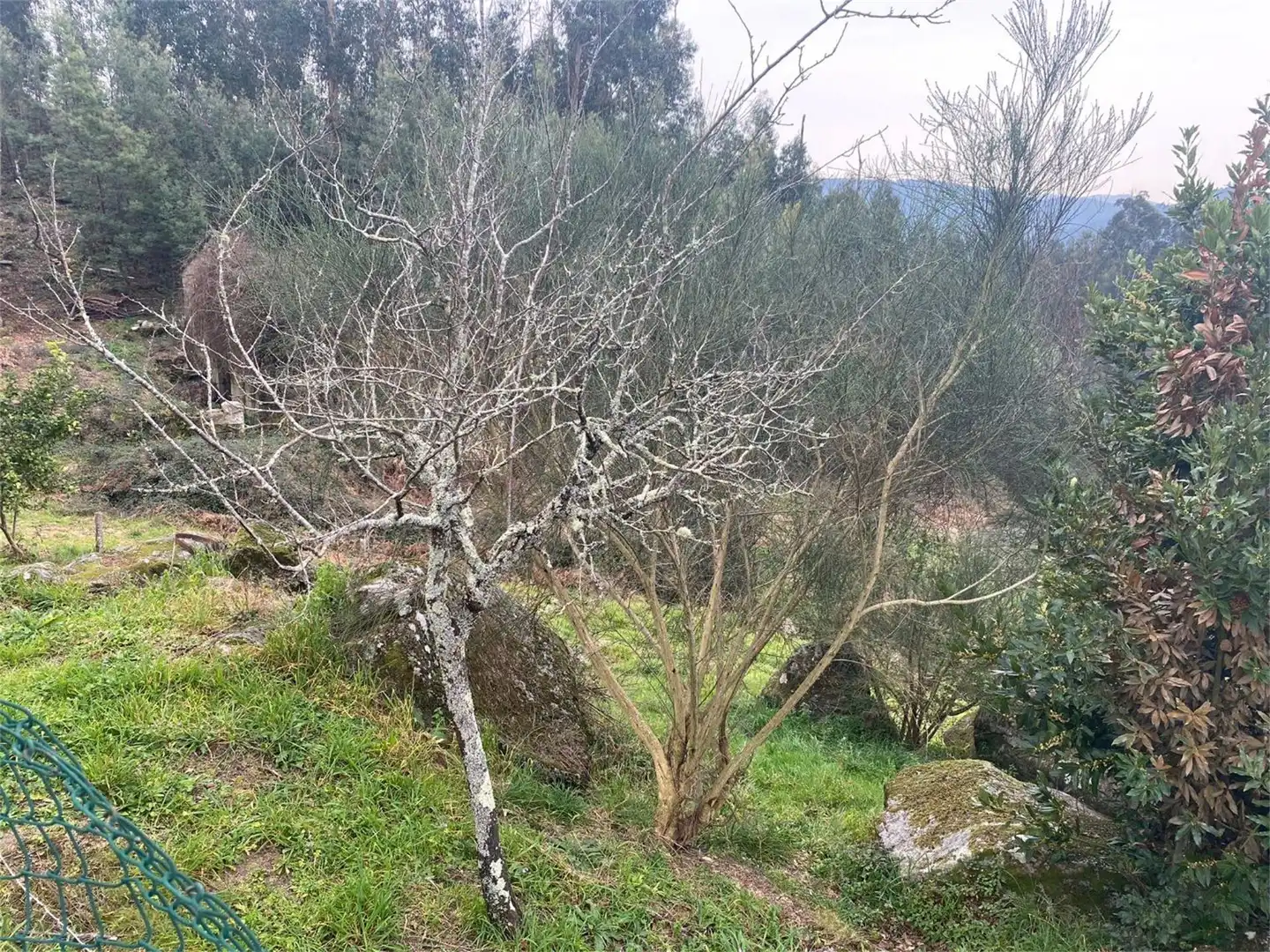 Finca rústica en venta en Parroquias Rurales Finca rústica en venta en Pontevedra Capital con Jardín privado y Balcón