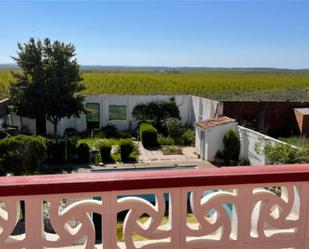 Jardí de Casa o xalet en venda en Benavente amb Terrassa, Piscina i Balcó