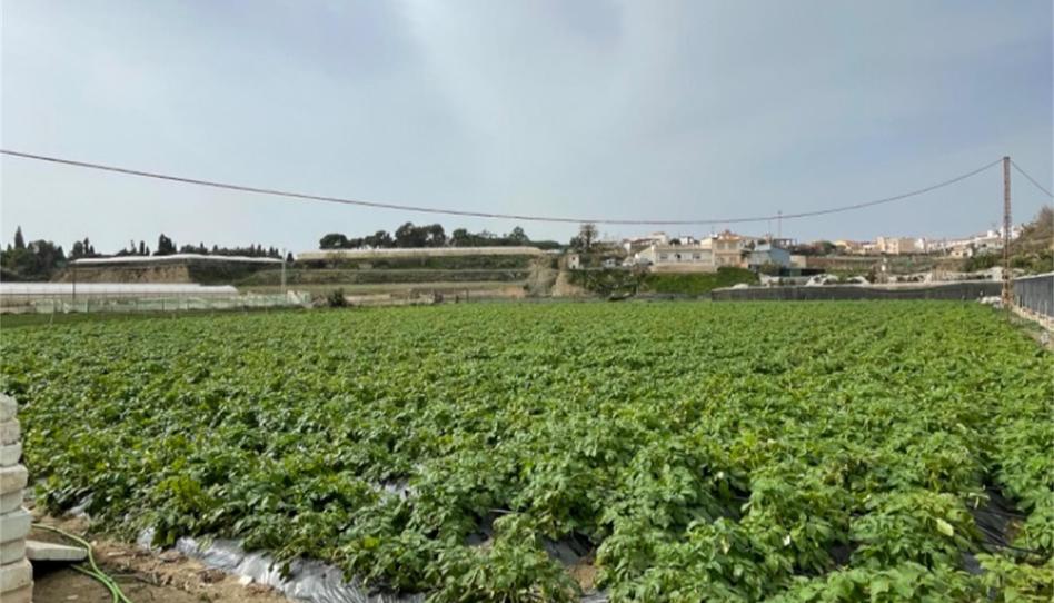 Foto 1 de Finca rústica en venda a Carretera a Finca la Mayora, Algarrobo Costa, Málaga