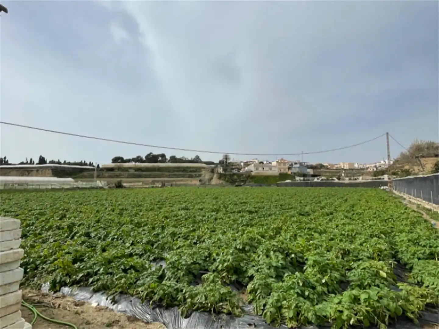 Finca rústica en venta en Carretera a Finca la Mayora, Algarrobo Costa Finca rústica en venta en Algarrobo