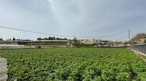 Foto 3 de Finca rústica en venda a Carretera a Finca la Mayora, Algarrobo Costa, Málaga