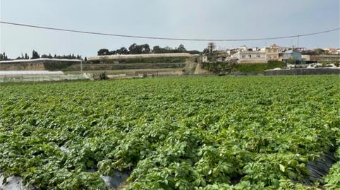 Foto 4 de Finca rústica en venda a Carretera a Finca la Mayora, Algarrobo Costa, Málaga