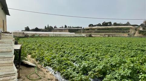 Foto 5 de Finca rústica en venda a Carretera a Finca la Mayora, Algarrobo Costa, Málaga
