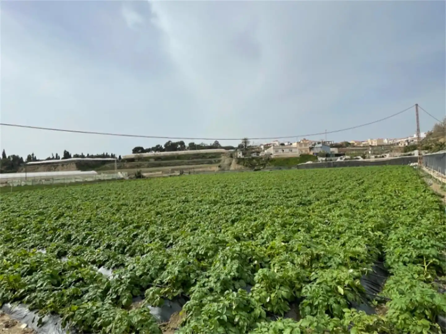 Finca rústica en venta en Carretera a Finca la Mayora, Algarrobo Costa Finca rústica en venta en Algarrobo