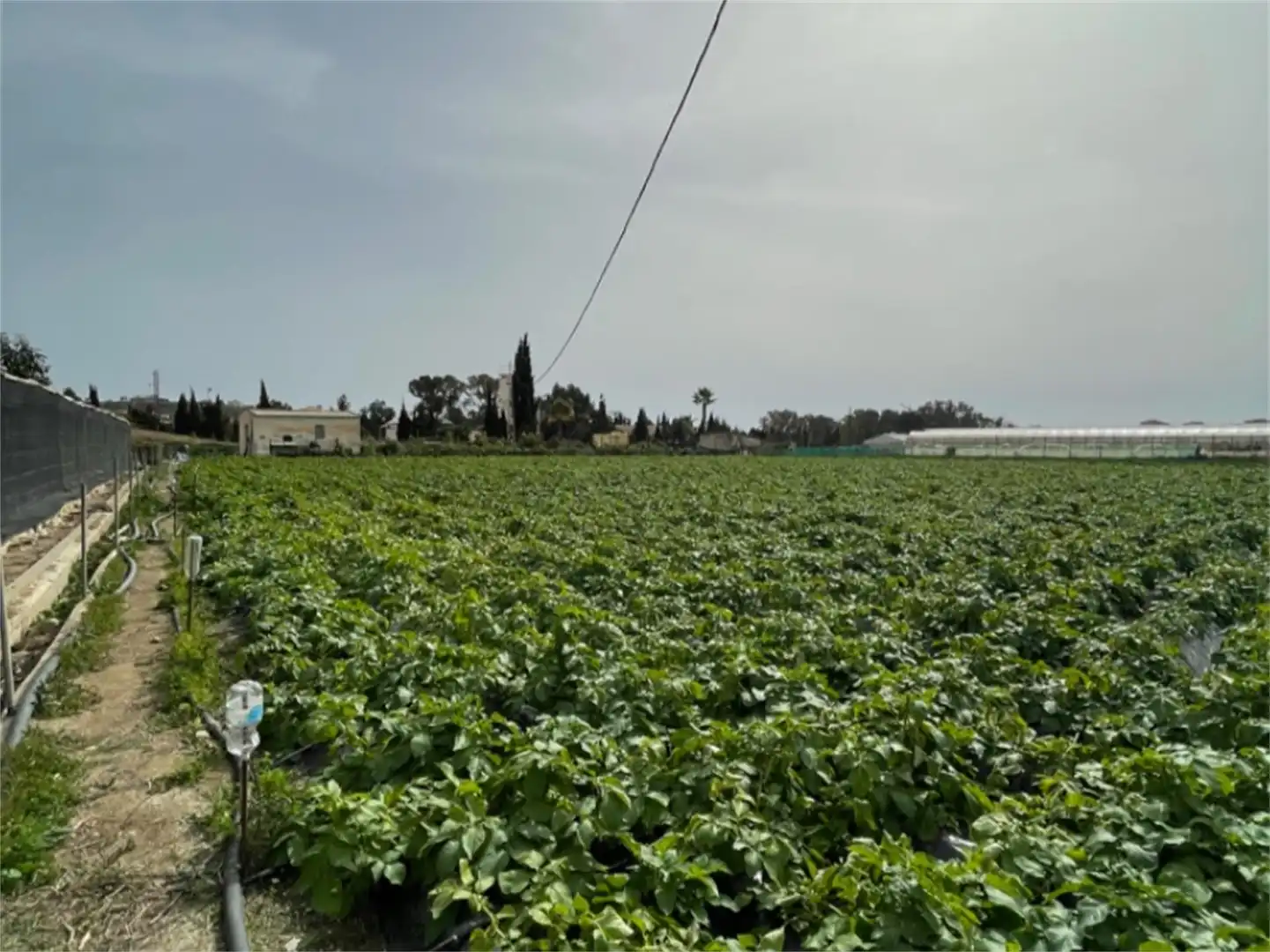 Finca rústica en venta en Carretera a Finca la Mayora, Algarrobo Costa Finca rústica en venta en Algarrobo