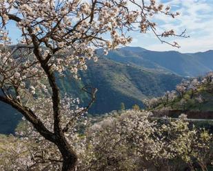 Jardí de Finca rústica en venda en Málaga Capital