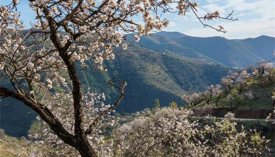 Country house for sale in Campanillas, Málaga - image 1 Photo 1 of Country house for sale in Campanillas, Málaga