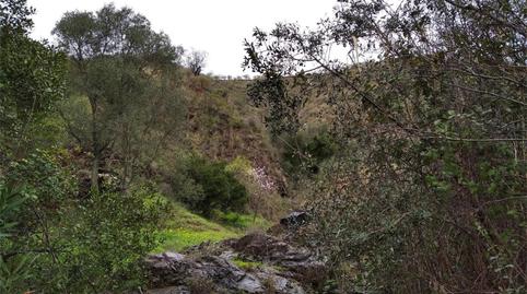 Country house for sale in Campanillas, Málaga - image 2 Photo 2 of Country house for sale in Campanillas, Málaga