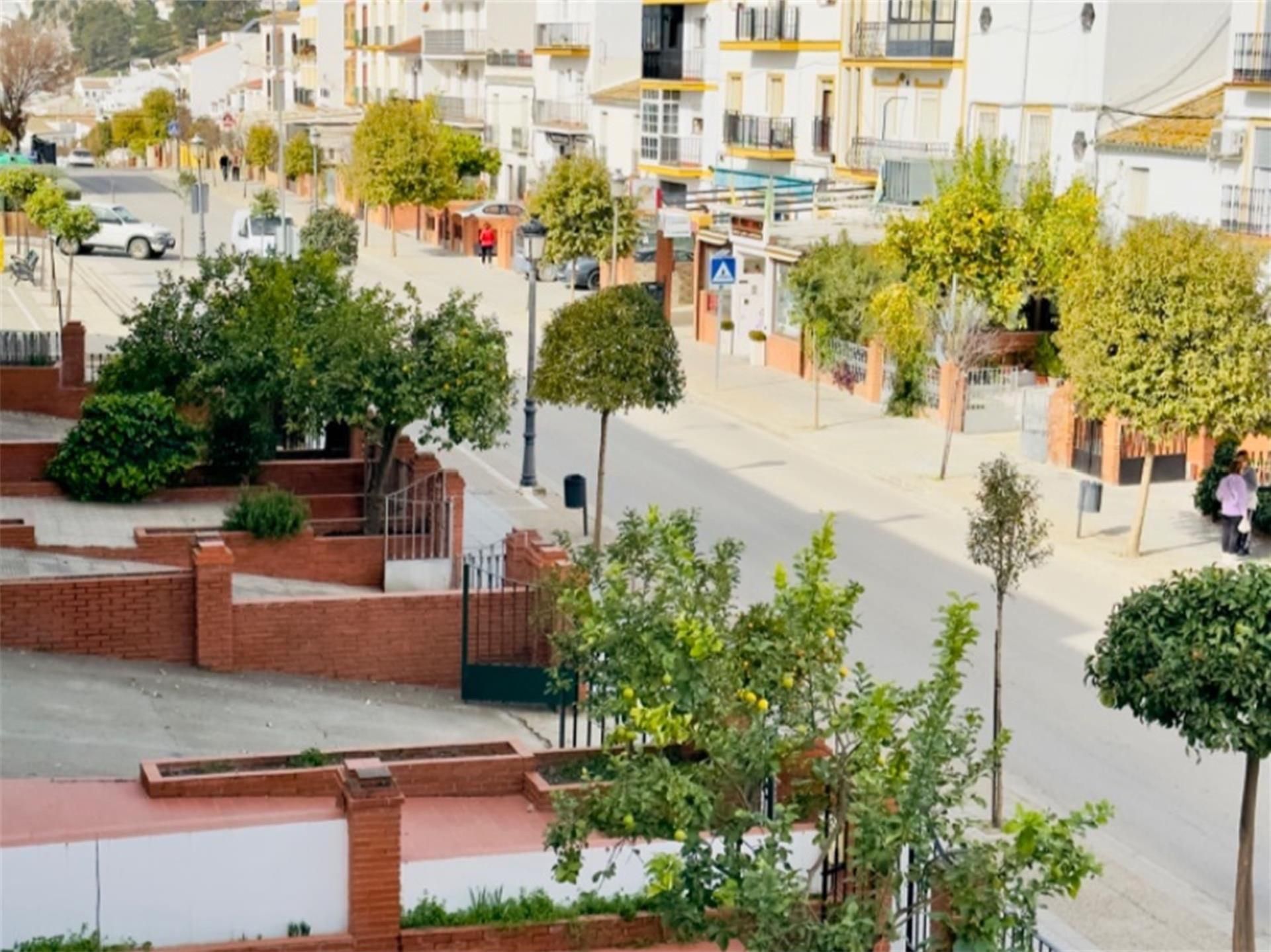 Exterior view of Flat for sale in Olvera  with Terrace, Storage room and Furnished