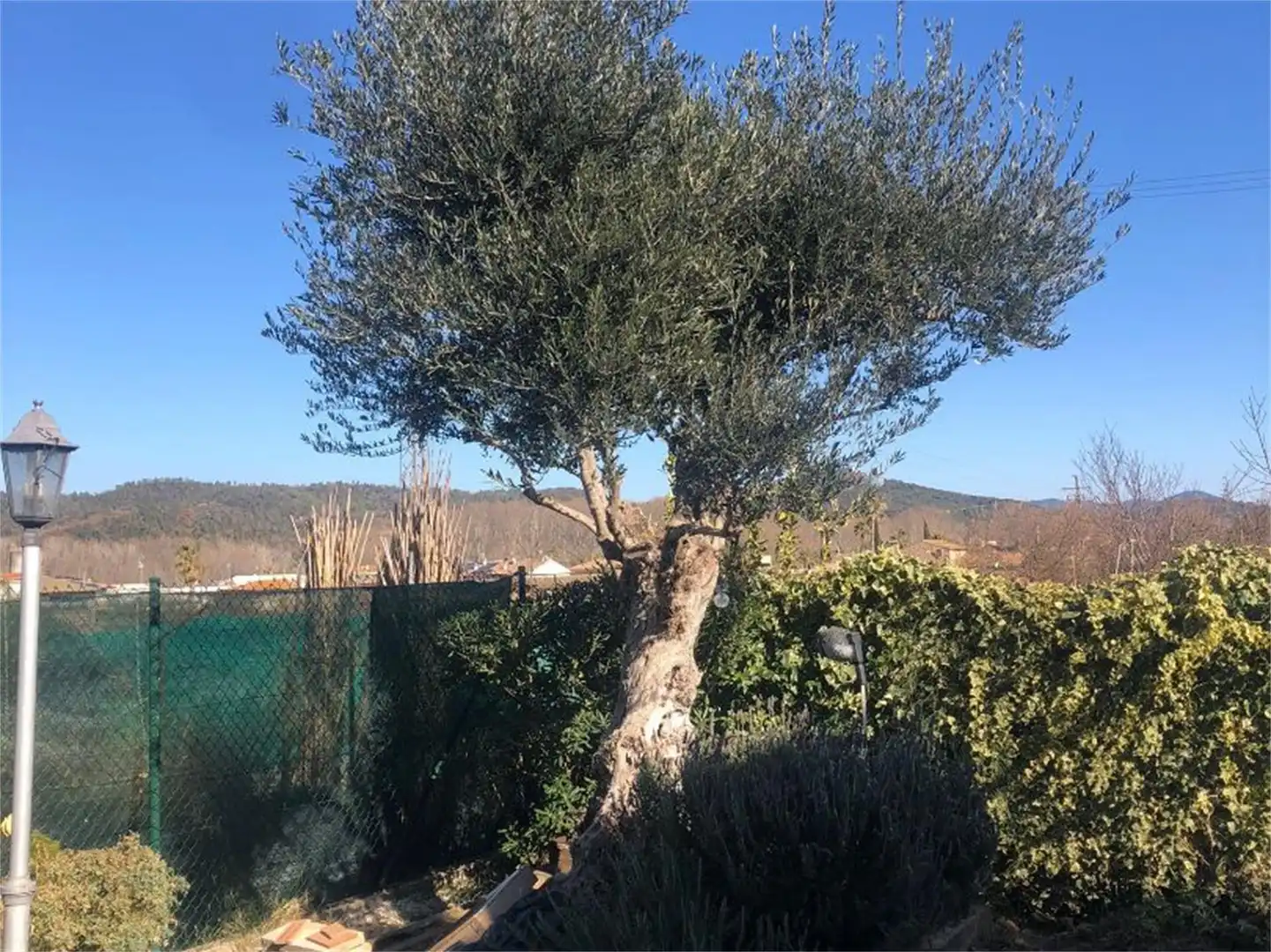 Jardí de Casa o xalet en venda en Anglès amb Aire condicionat, Terrassa i Piscina